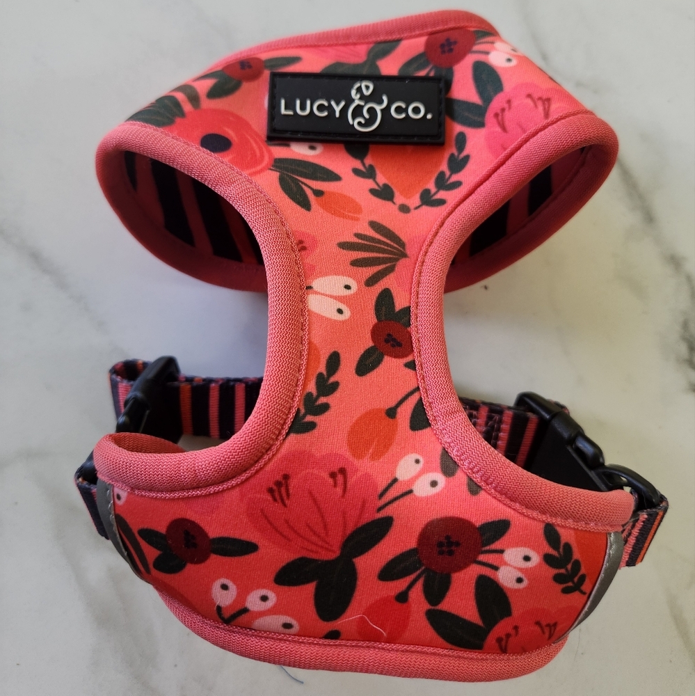 XS dog harness